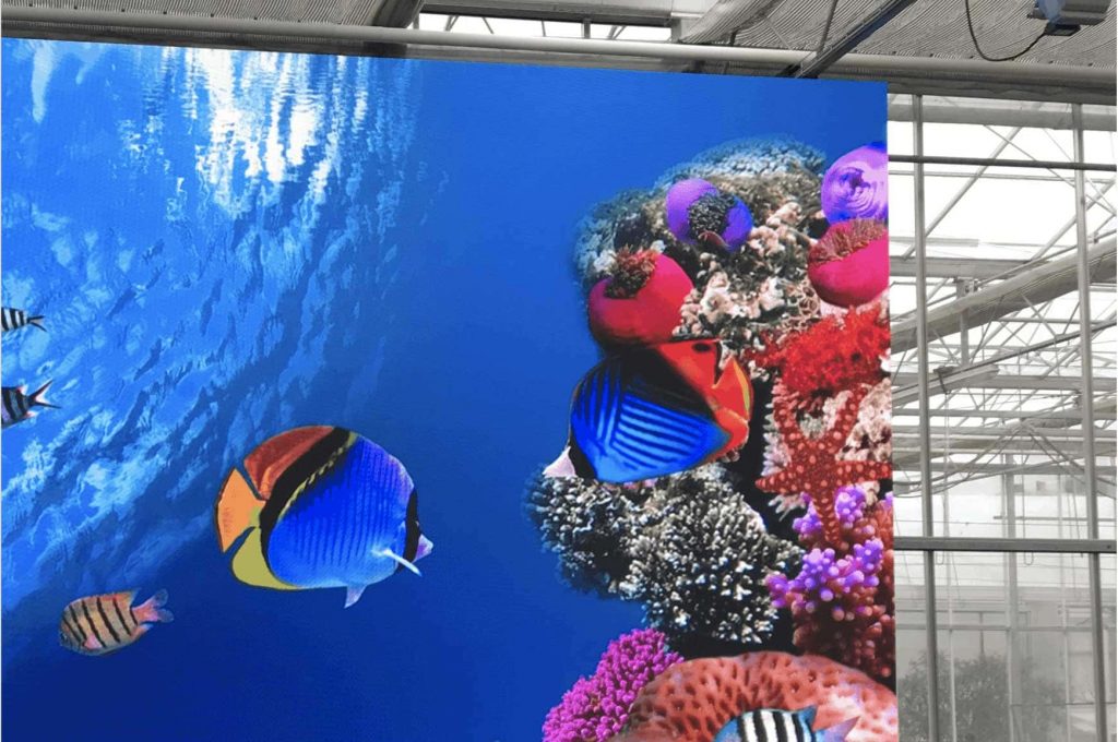 LED-Videowand mit Unterwassermotiv im Messeeinsatz